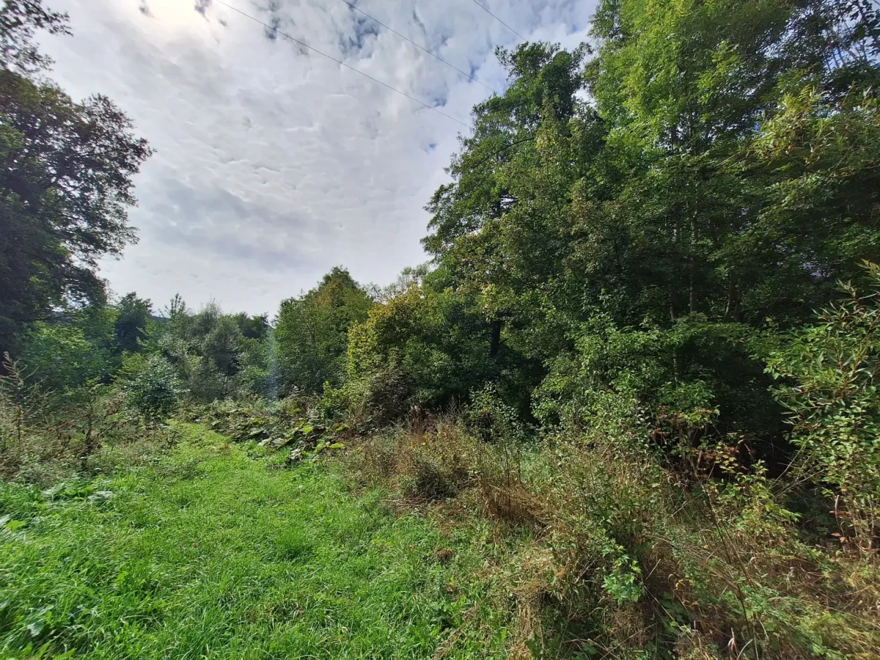EOS / Zemljište / Gornji Vakuf / Dobrošin / 4.930 m2 4