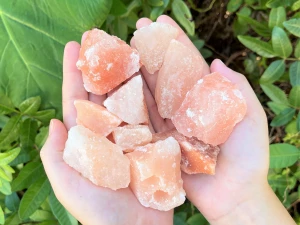 HIMALAJSKA SOL za divljač u grumenu