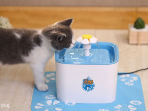 Fontana za mačke NMPet