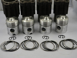 Generalna Motor Torpedo Deutz F4L912 . 066 649 400