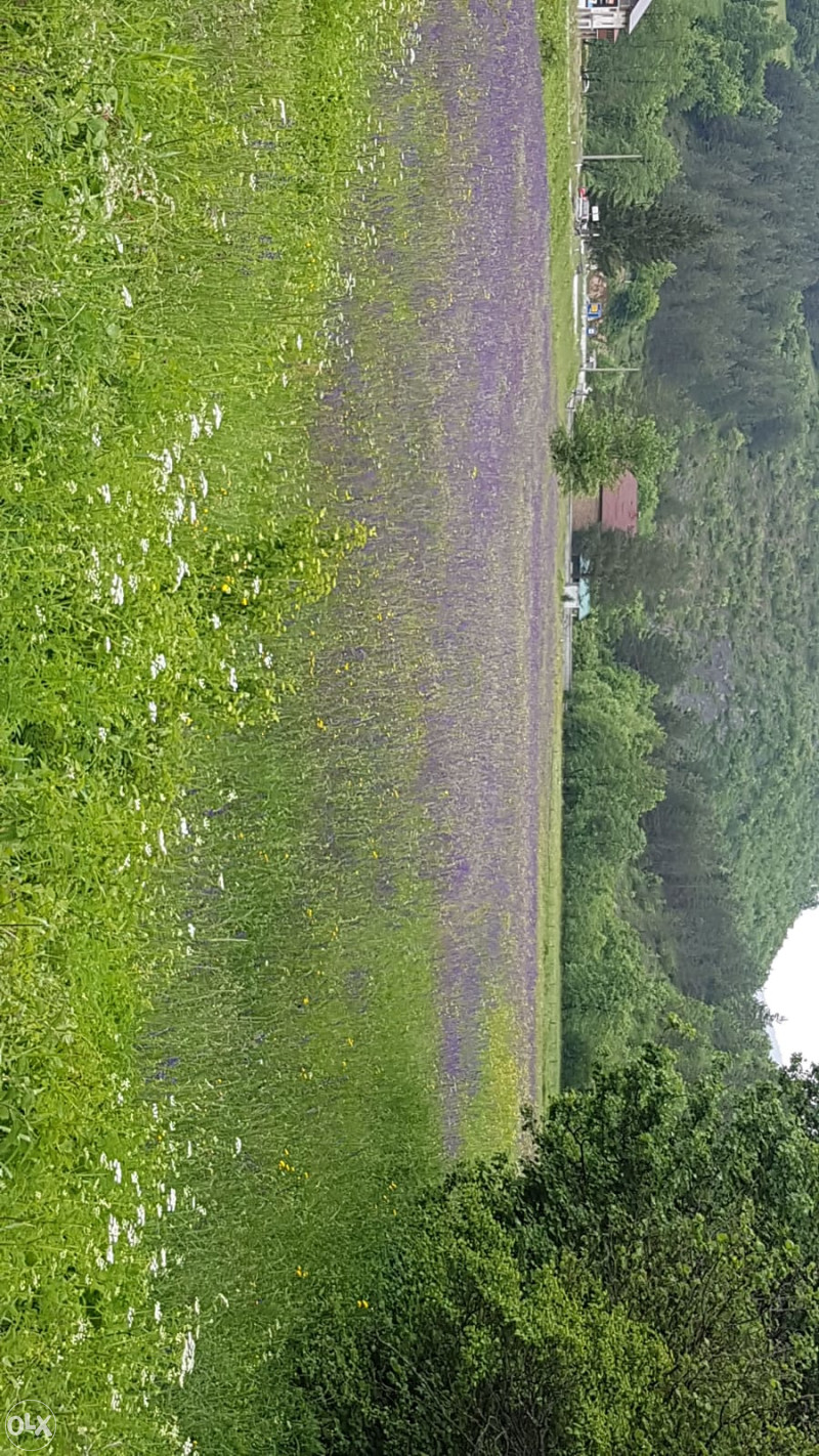 Zemljiste plac 2