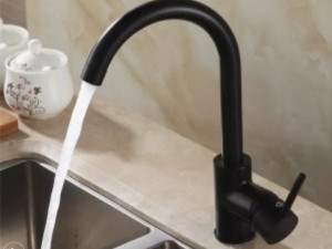 Cesma česme slqvina  fleksibilna crijeva