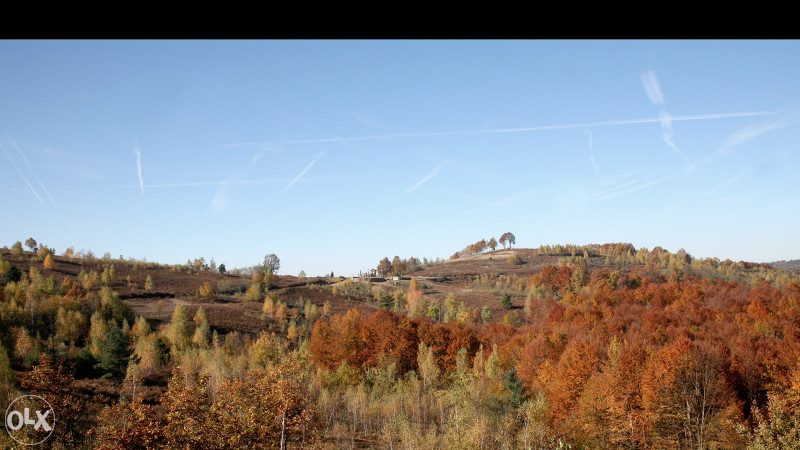 ZEMLJA,OBJEKTI,BUNAR...CIJENA/LICITACIJA U DETALJIMA OGLASA 9