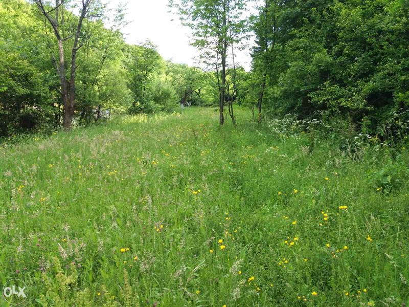 Zemljište Rakovica