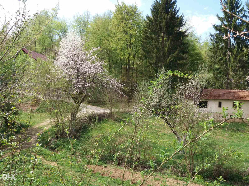 Zemljište Rakovica 5