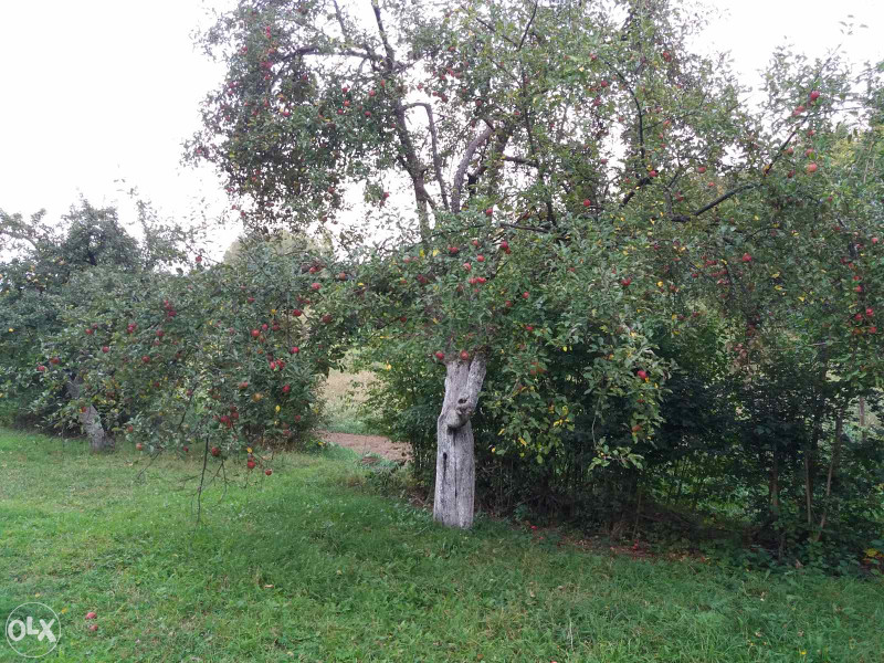 Zemljište Rakovica 3