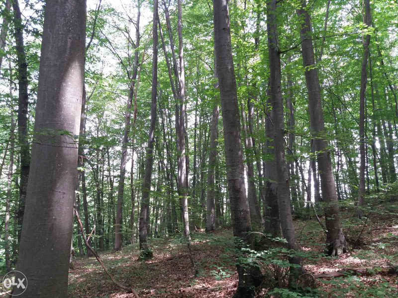 Zemljište Rakovica