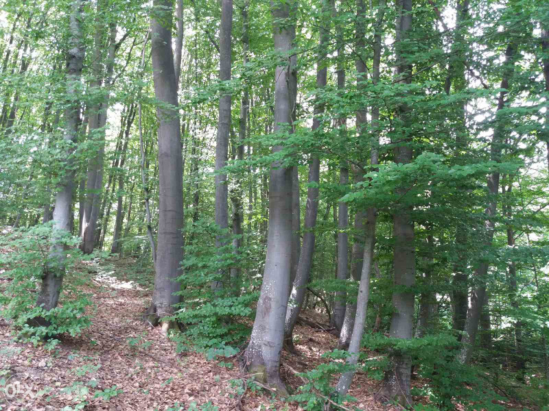 Zemljište Rakovica 2