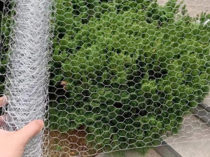 Mreža pocinčana Hexanet