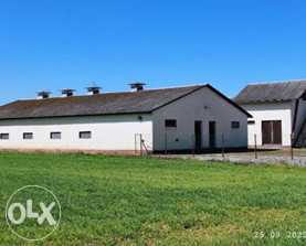 Farma, Obudovac Šamac - Kerezi 2