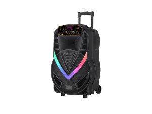 Bluetooth zvučnik sa bežičnim mikrofonom NDR-V12