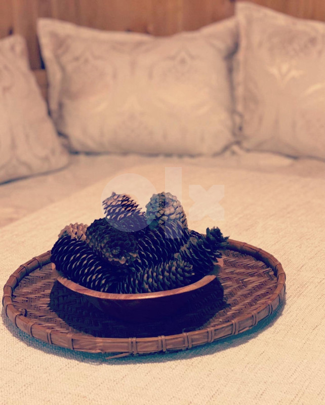 061 622 992 VIKENDICA APARTMANI VLASIC 3