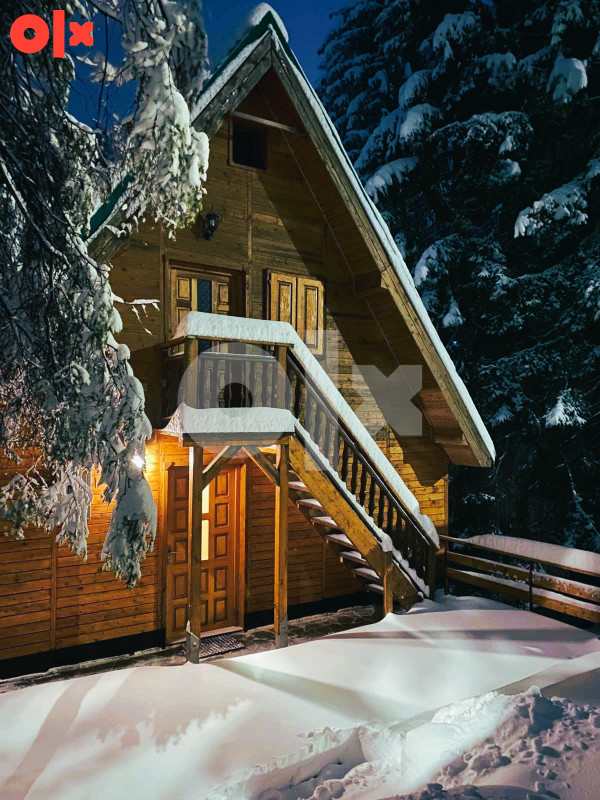 061 622 992 VIKENDICA APARTMANI VLASIC