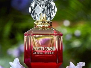 Roberto cavalli paradiso assoluto parfem parfe