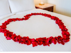 Latice ruza crvene platnene dekoracija rodjendan zaruke