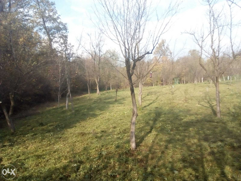 Zemljište za vikendicu sa pomoćnim objektom i voćnjakom - Zemljišta ...
