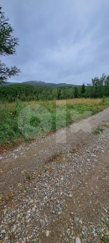 Zemljište u Jablanu (Laktaši) 4