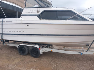 gliser Bayliner 2452