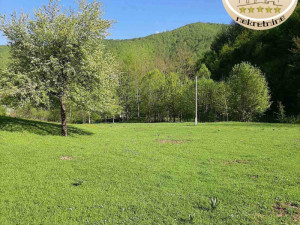 Zemljište Podgrab, 21300m2, mogućnost parcelizacije