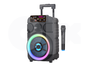 Zvučnik BSK-510 FM USB bluetooth wireless mikrofonom