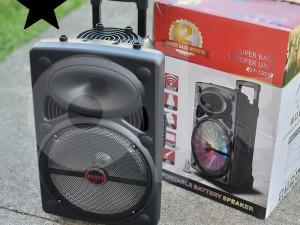 BLUETOOTH karaoke ZVUČNIK 250 W 12"