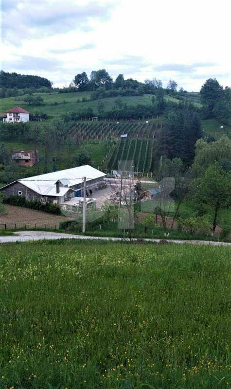Poslovna hala,  Lončari, Busovača 445 m2 18