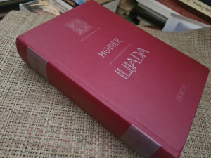 Ilijada - Homer
