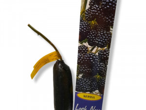 Sadnice MALINE i KUPINE
