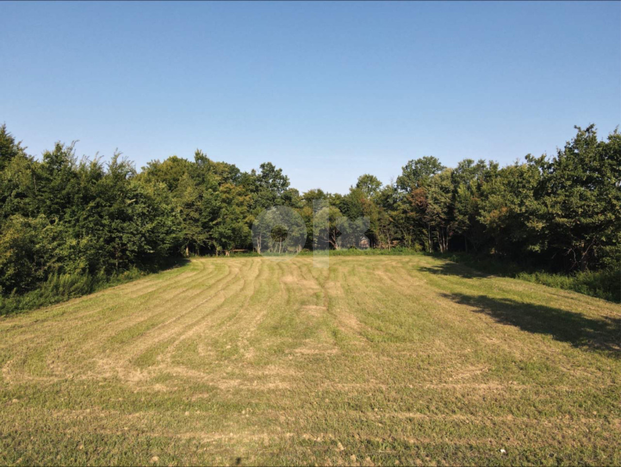 ODLIČAN plac zemljiste / Veliko Blaško / 3081m2 2