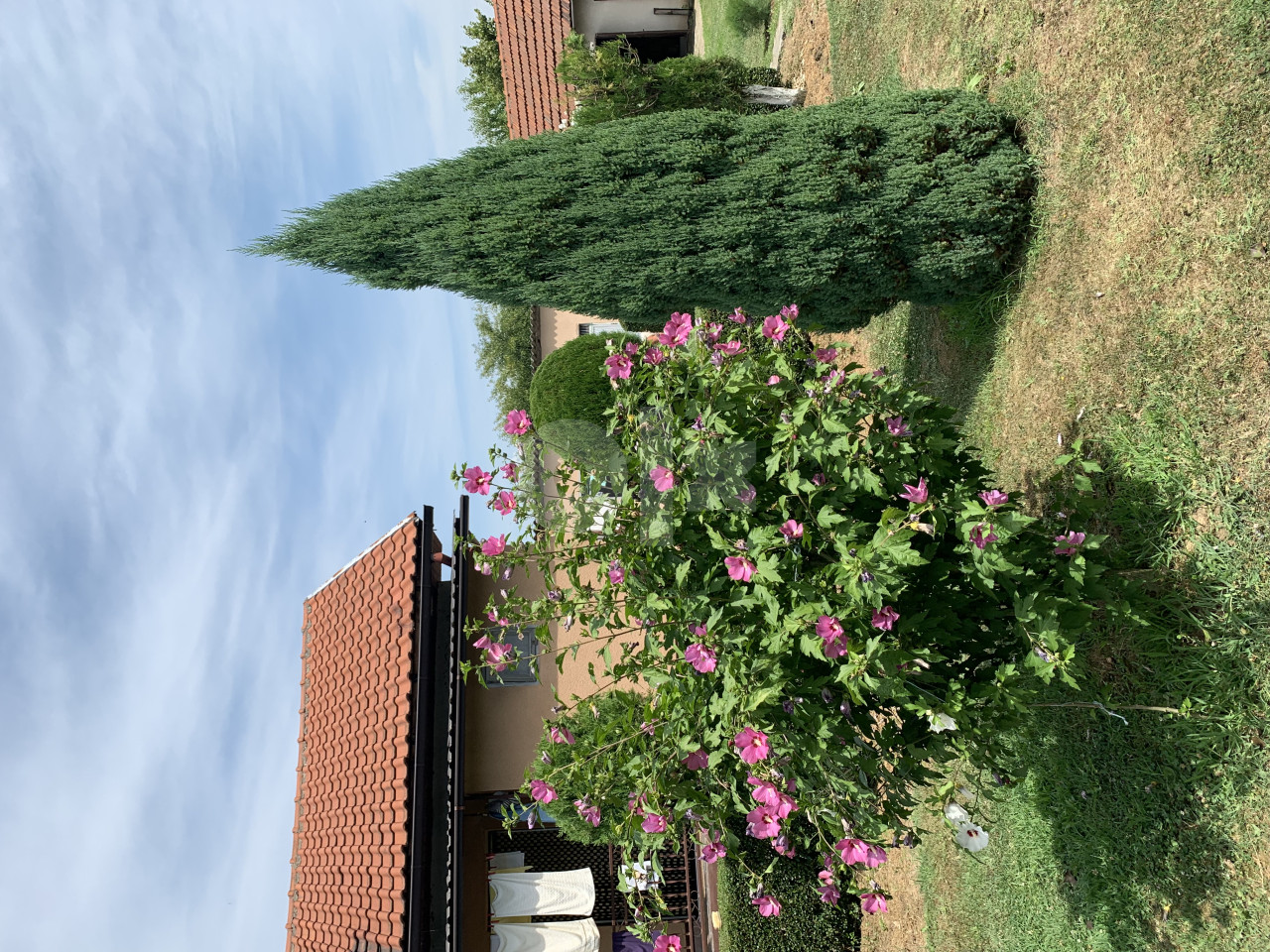 Kuća Tuzla 60m2 11
