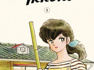 Maison Ikkoku Collector's Edition Manga / Anime