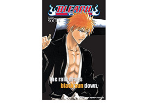 Bleach SOULs Official Character Book 1 Manga