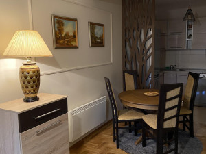 IZDAJEM NAJEŠTEN STAN 50m2, ul. Meše Selimovića