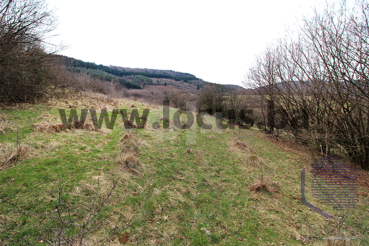LOCUS: Građevinsko zemljište 20.414 m², Tarčin, Hadžići - View 5
