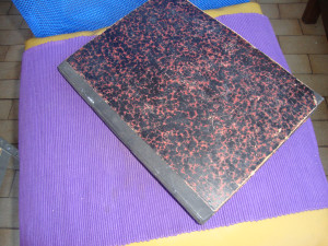 Glasnik zakona i naredaba za Bosnu i Hercegovinu 1920