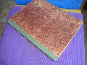 Glasnik zakona i naredaba za Bosnu i Hercegovinu 1920