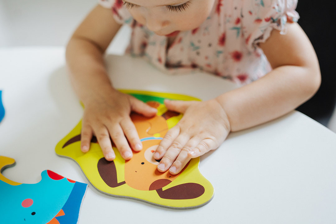 Puzzle - Egzoticne zivotinje - prve puzzle | 22 komada