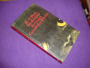 Doživljaji Arthura Gordona Pyma - E.A.Poe