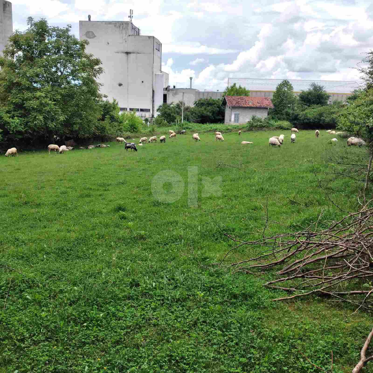 Zemljište Bihać 2000m2