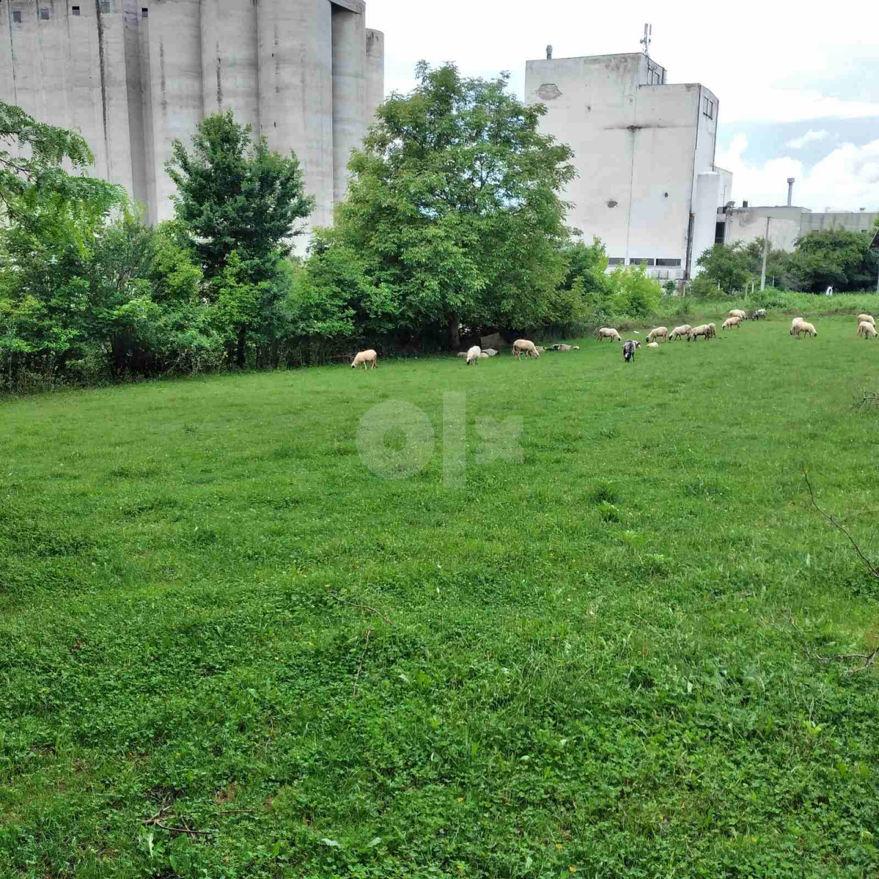 Zemljište Bihać 2000m2 5