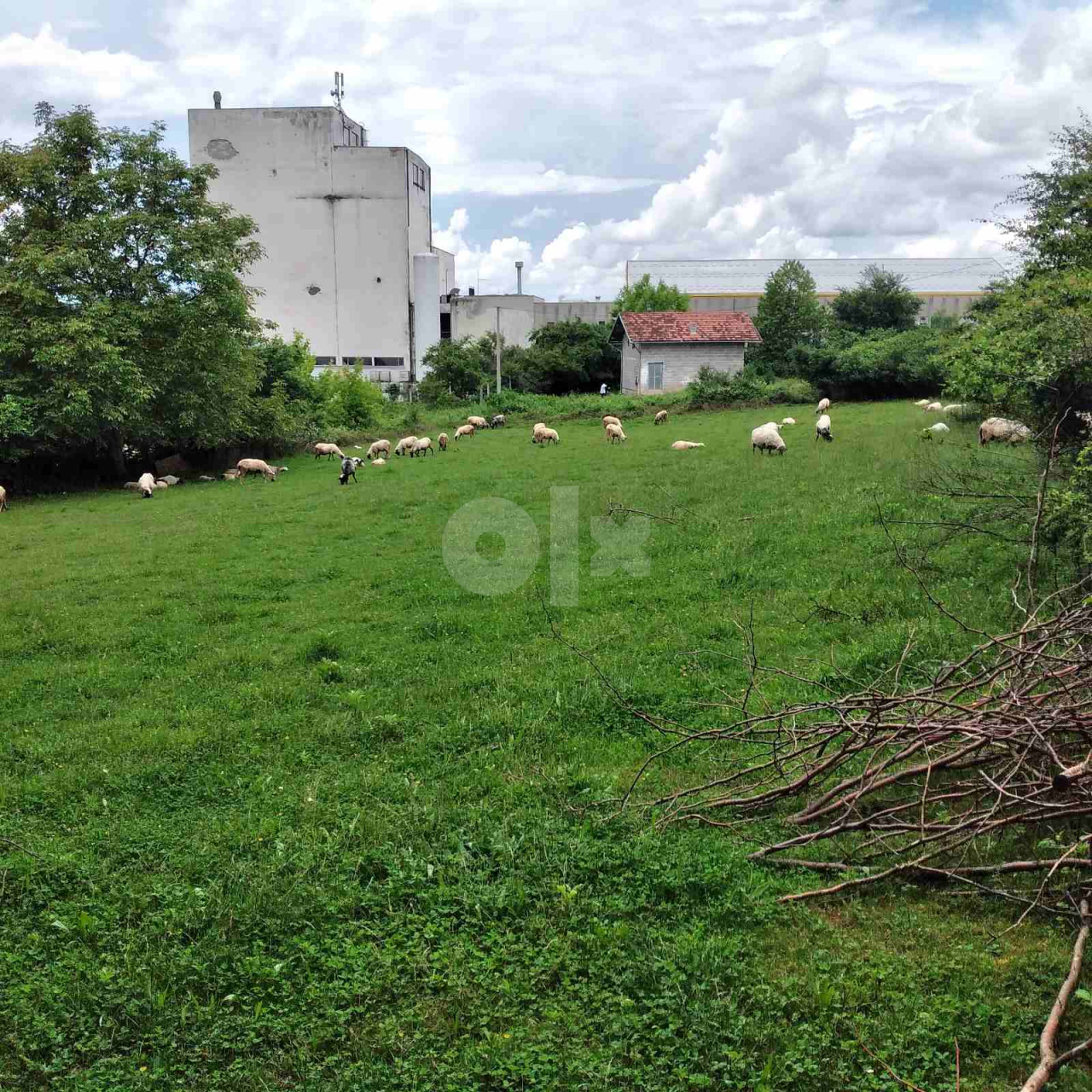 Zemljište Bihać 2000m2 7