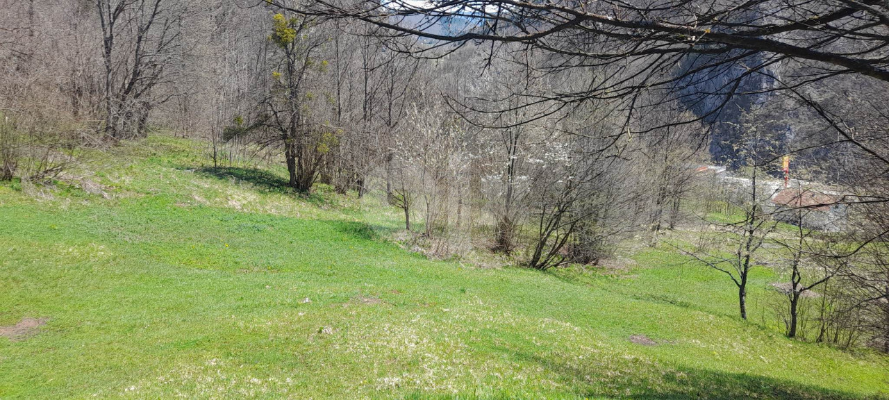 Zemljiste Bulozi (prodaja ili zamjena za stan) 2