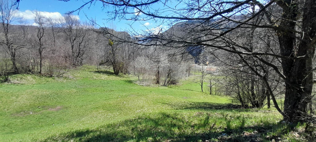 Zemljiste Bulozi (prodaja ili zamjena za stan) 3