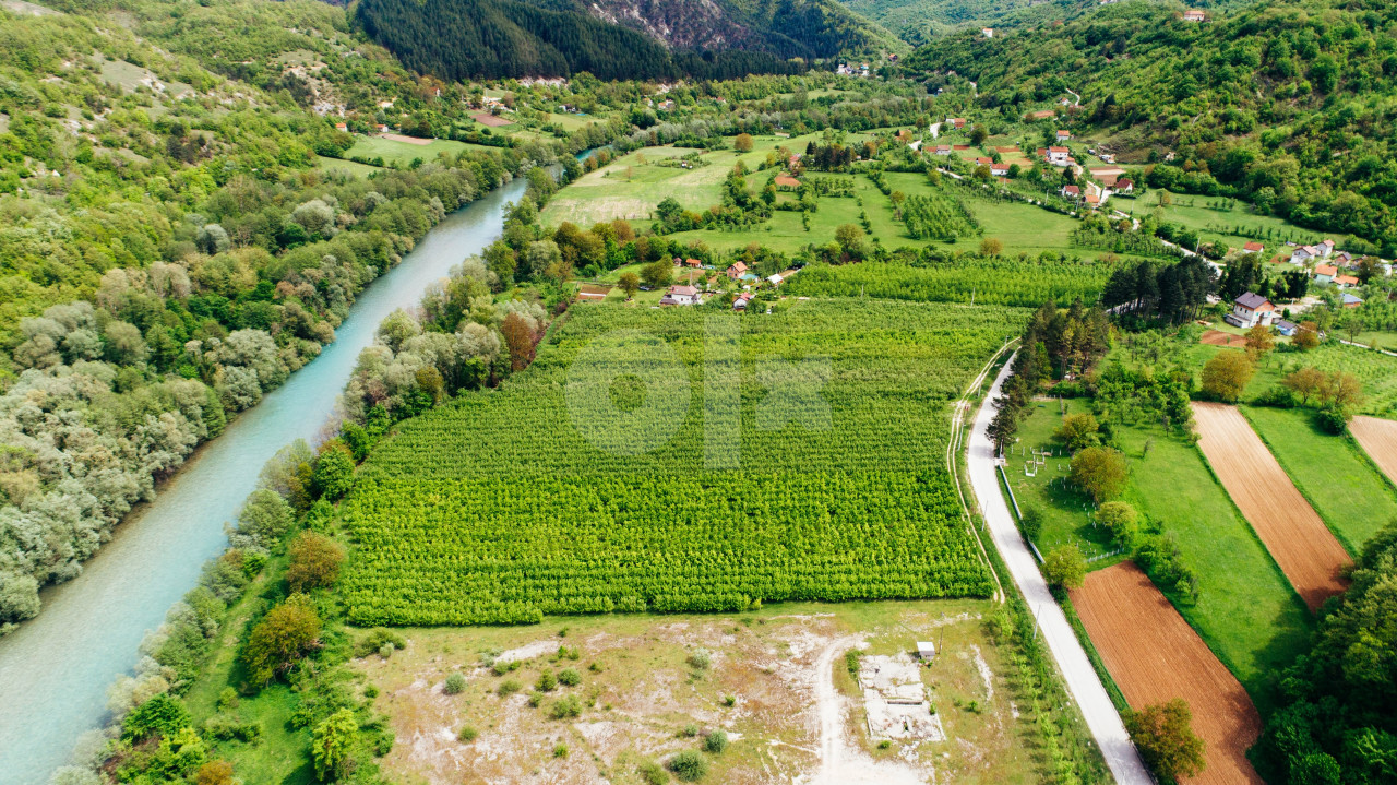 Zemljište  INVESTICIONO - plantaža- Konjic - Glavatičevo 3