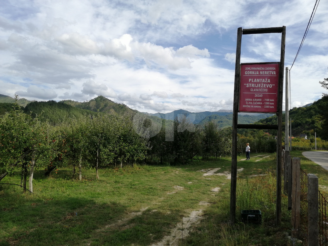 Zemljište  INVESTICIONO - plantaža- Konjic - Glavatičevo 5