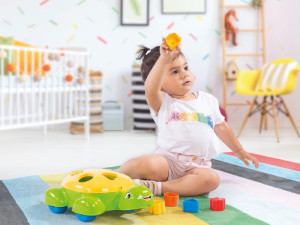 Kornjaca oblici igracka bebe edukativne igračke DOLU