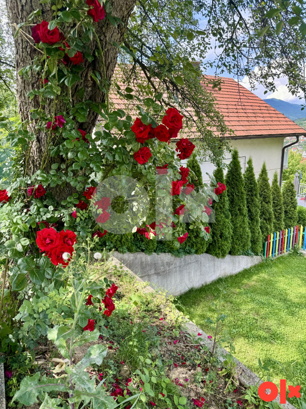 Kuća na dan House per day Stan na dan 5