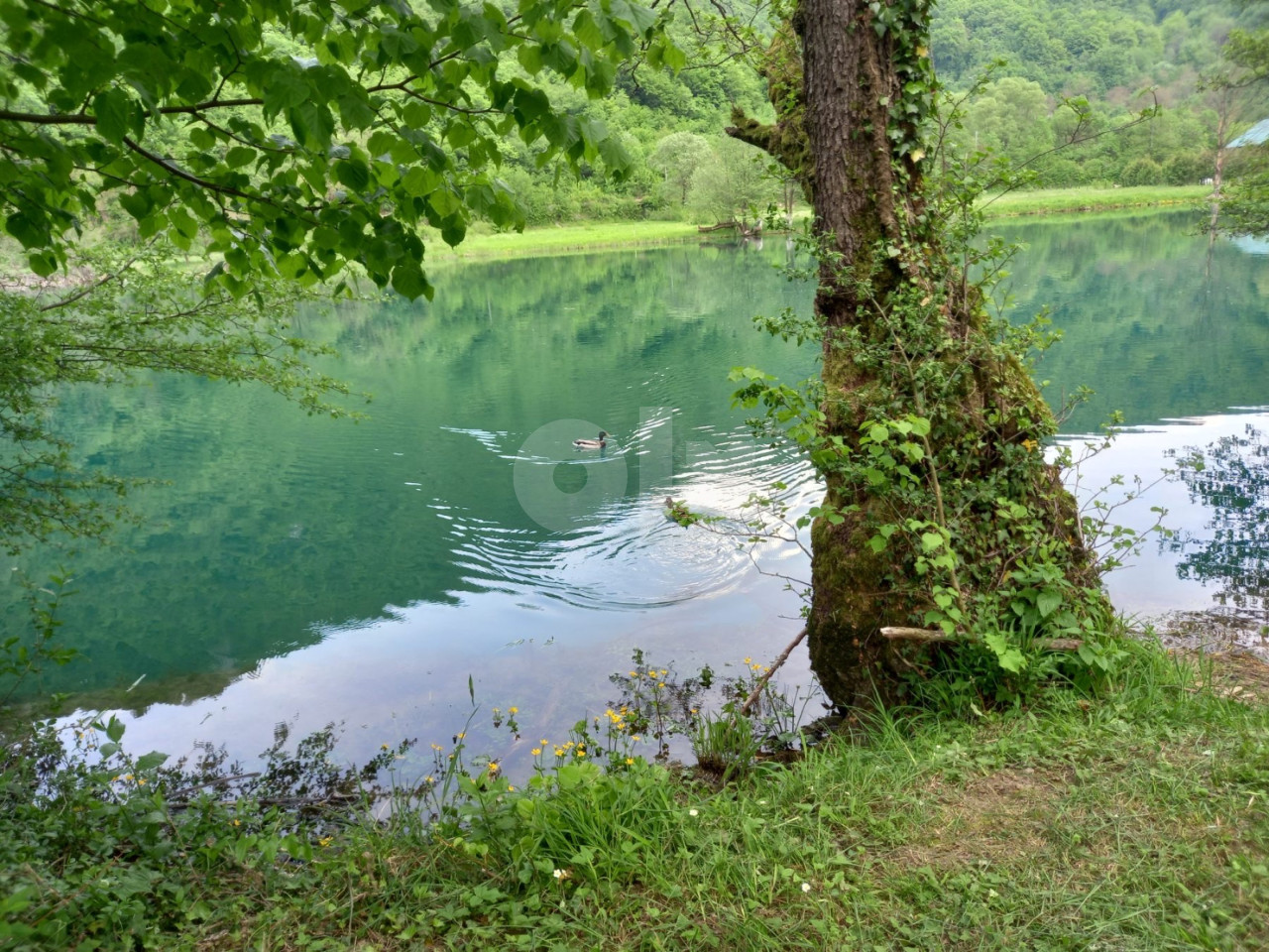 Zemljište Bihać (Iznajmljujem za kampovanje) Zemljišta OLX.ba