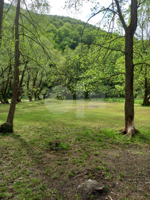 Zemljište Bihać (Iznajmljujem za kampovanje) Zemljišta OLX.ba