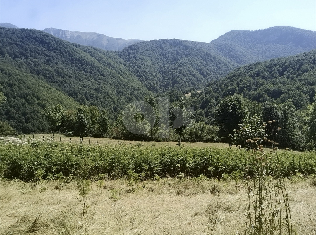 Zemljište Tarčin Korča 5700m2